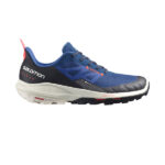 کفش Salomon Outpulse GTX